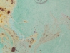 h2o-embryo-detail-oil-on-canvas-110cm-x-90cm